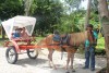 Passeio Geral 2017.1