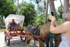 Passeio Geral 2017.1