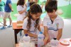 Feira de Ciências e Tecnologia 2017.2
